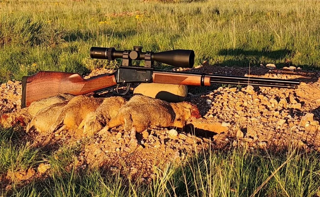 Henry Repeating Arms Varmint Express