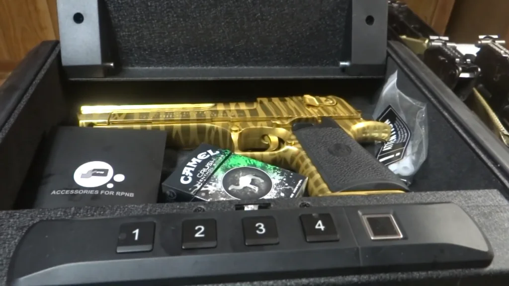 RPNB Biometric Safe Review closed