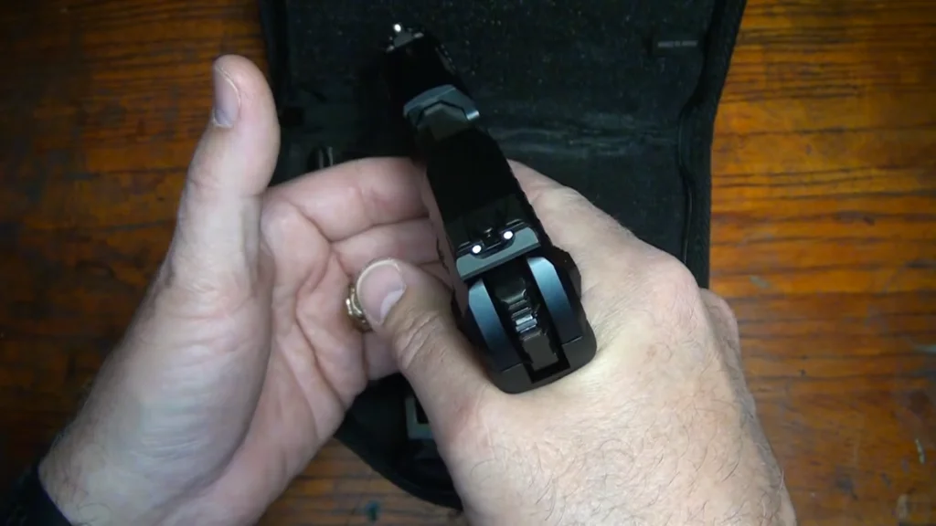 Ruger SR22 Review sights