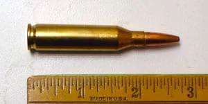 .243 Winchester cartridge Source: Wikimedia