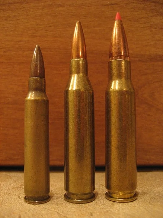 (Left to right) .223 Remington, .243 Winchester, .308 Winchester calibers Source: Wikimedia
