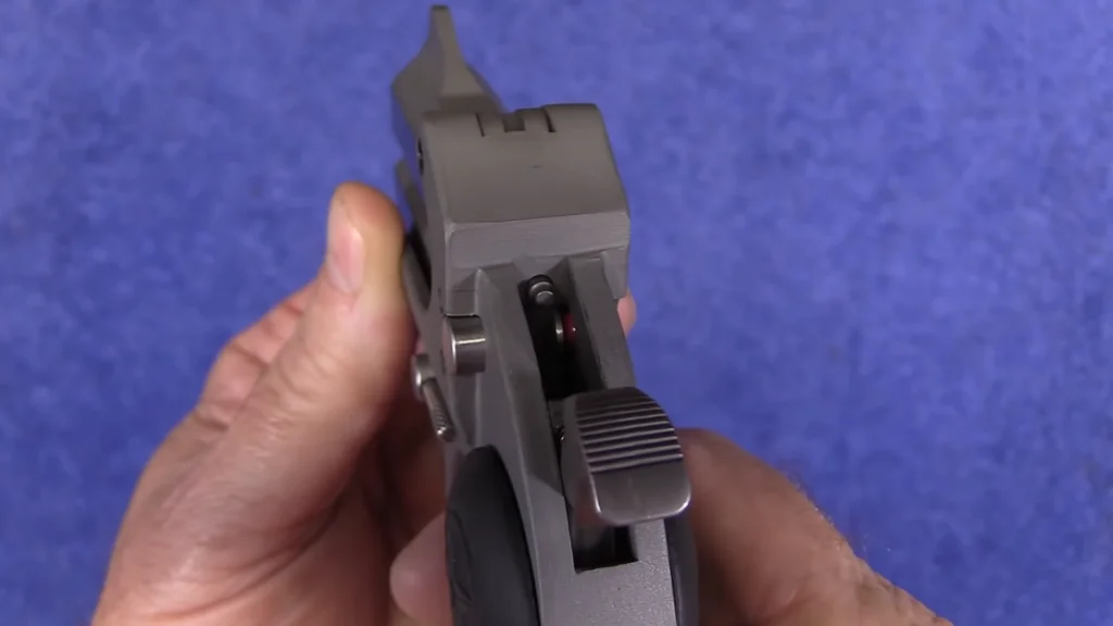 Bond Arms .45 ACP Roughneck Sights & Hammer