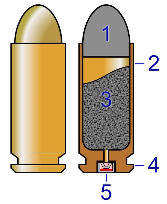 Dissection of bullet