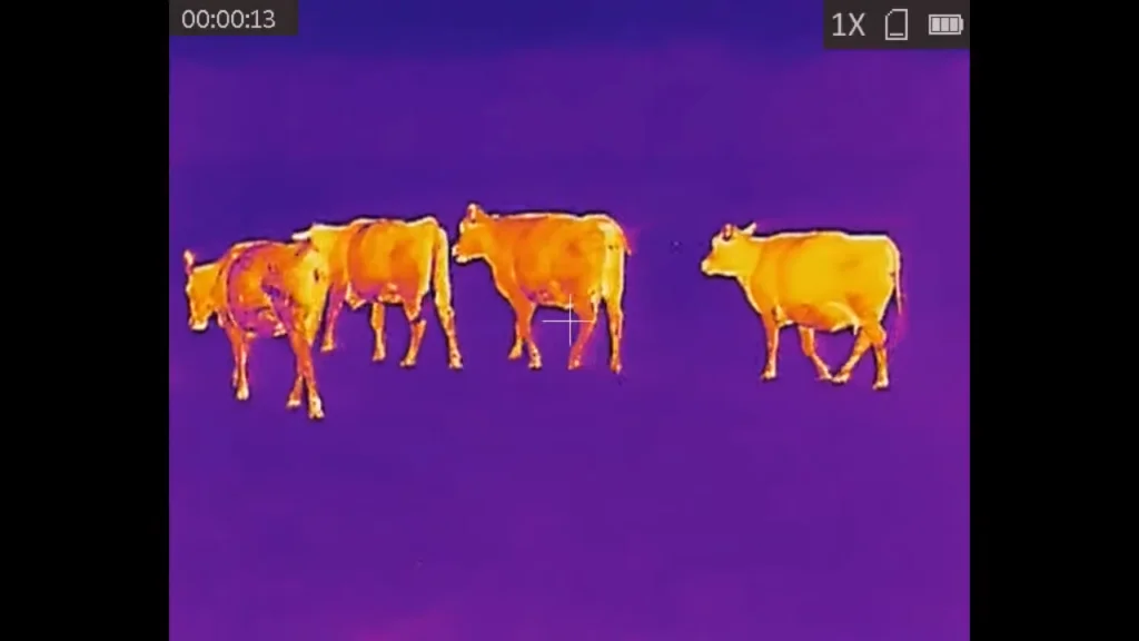 AGM Rattler TS25 At Night Test via Hickory Flat Boars