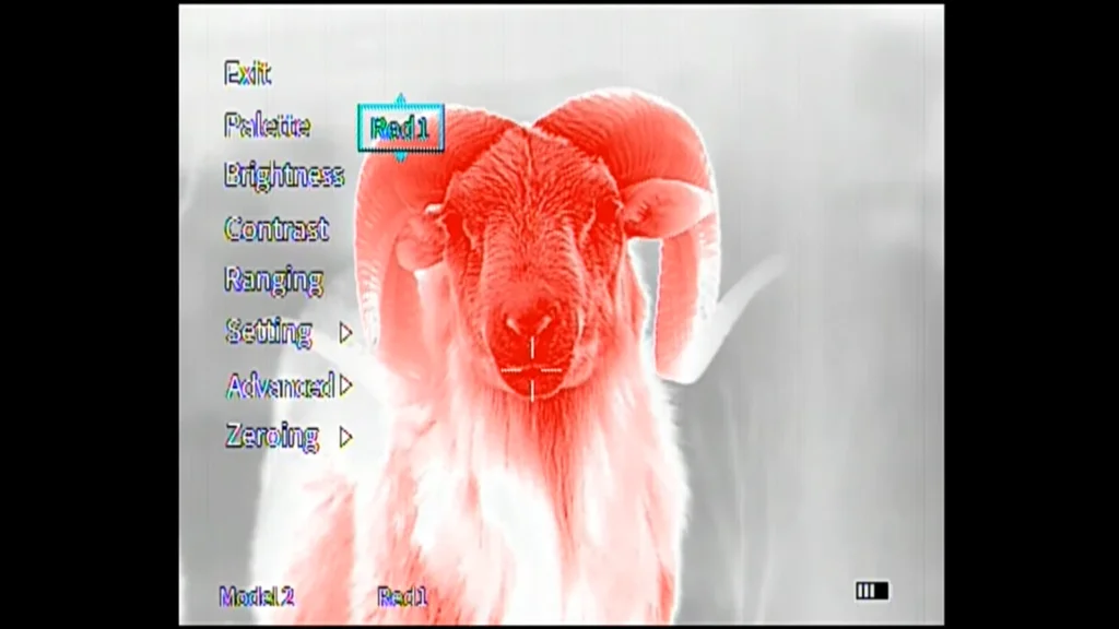 Burris Thermal Scope Night Test #2 via TXGamehunters TV