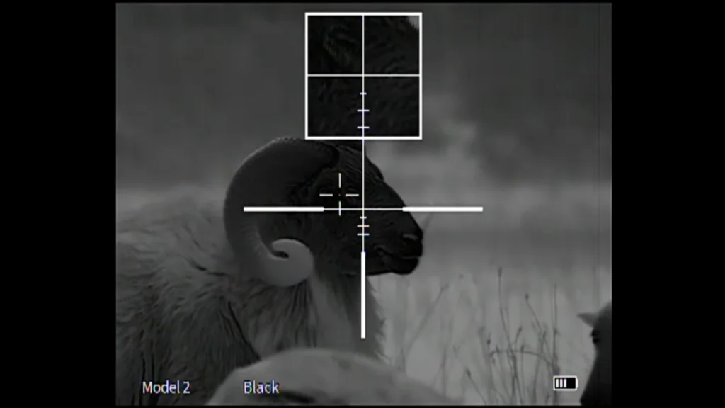 Burris Thermal Scope Night Test via TXGamehunters TV