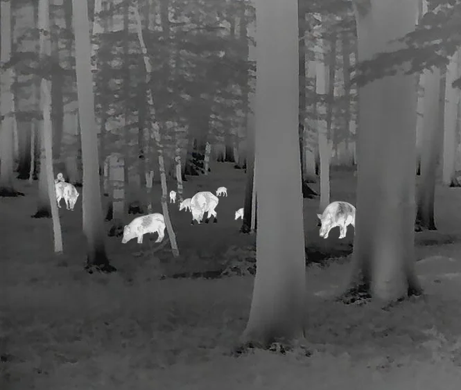 Leica Calonox Sight extra wide pov