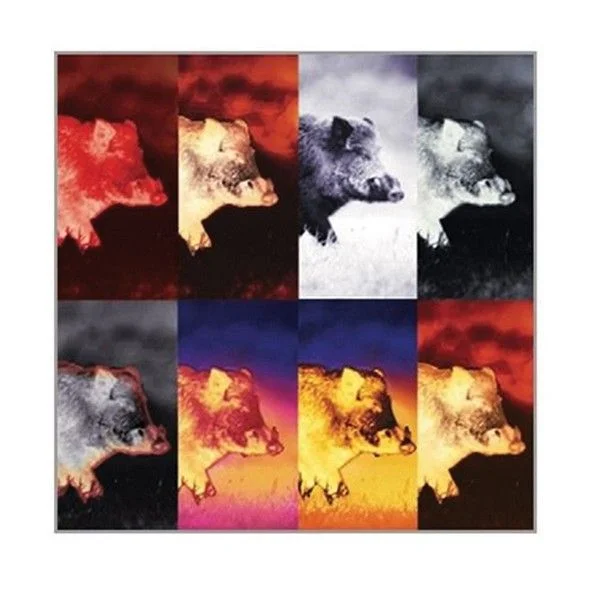 different thermal images