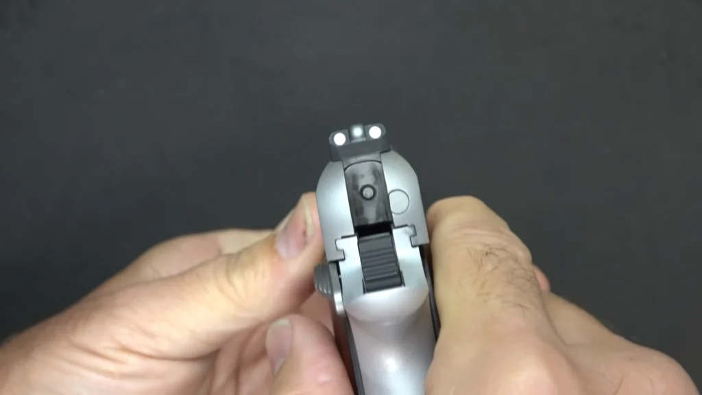 Kimber Micro 9 Sights via sootch00