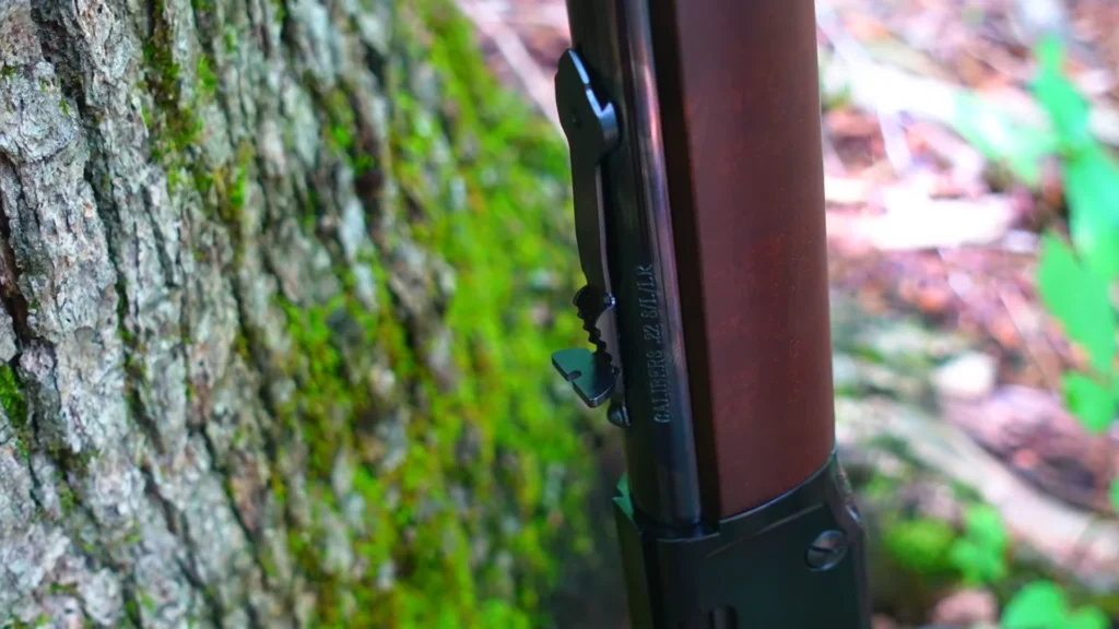 Henry Classic Lever Action .22 (2)