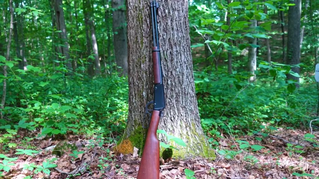 Henry Classic Lever Action .22 (3)