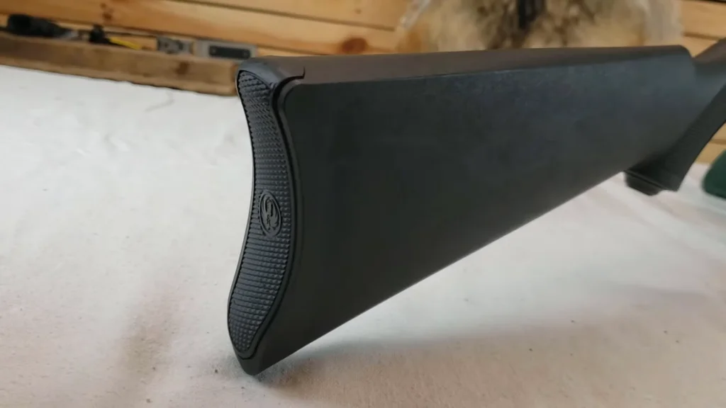 Ruger 10 22 carbine review (3)