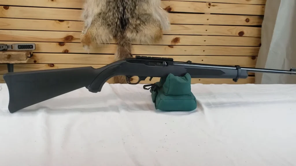 Ruger 10 22 carbine review (4)