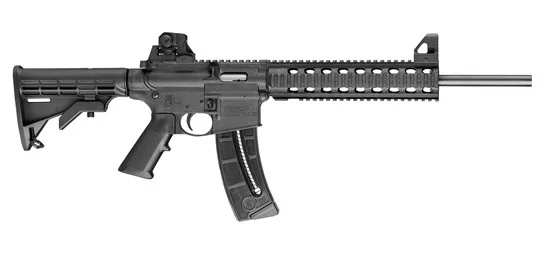 S&W M&P15-22