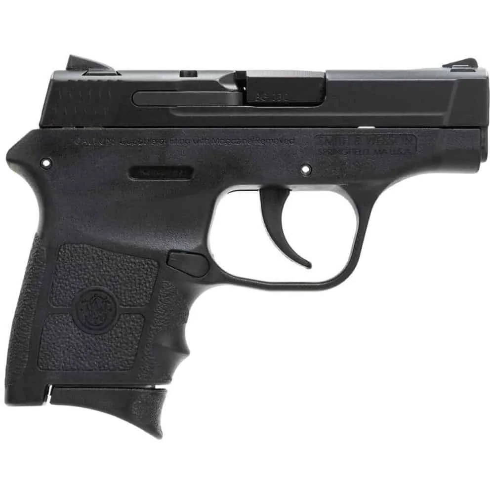 Smith Wesson M&P Bodyguard