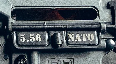 Diamondback DB15 Dust Cover