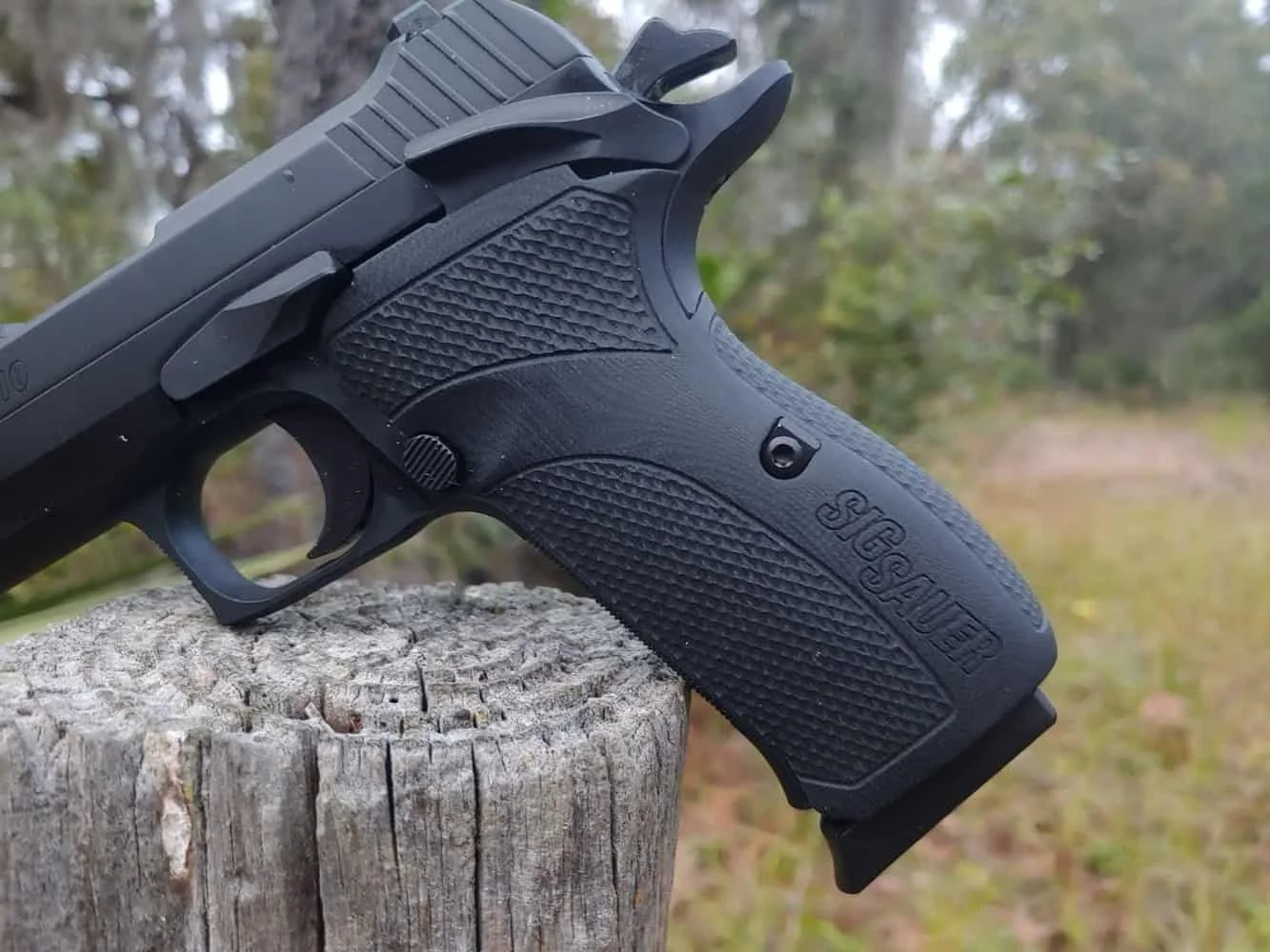 Sig sauer p210 carry grip