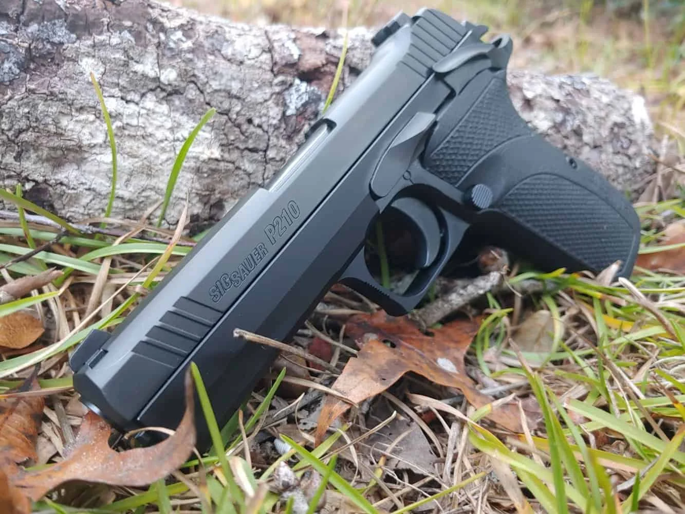 Sig sauer p210 carry lying against tree