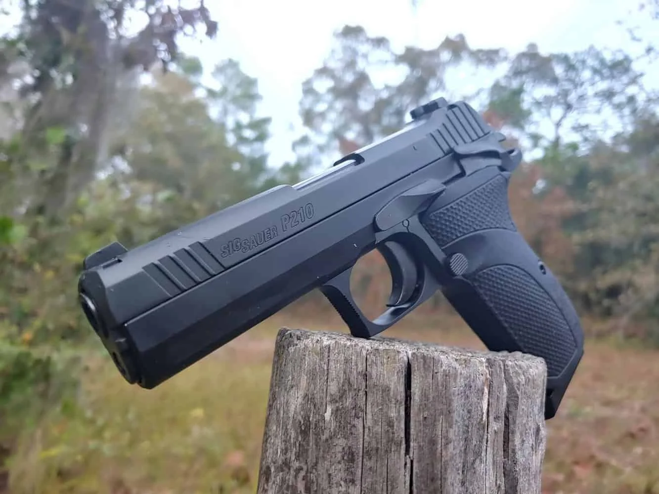 Sig sauer p210 carry side photo 2