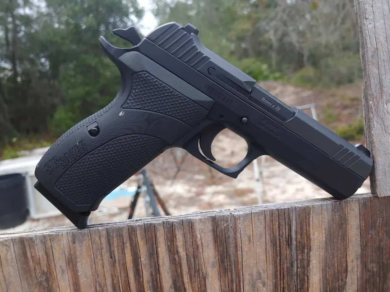 Sig sauer p210 carry side view