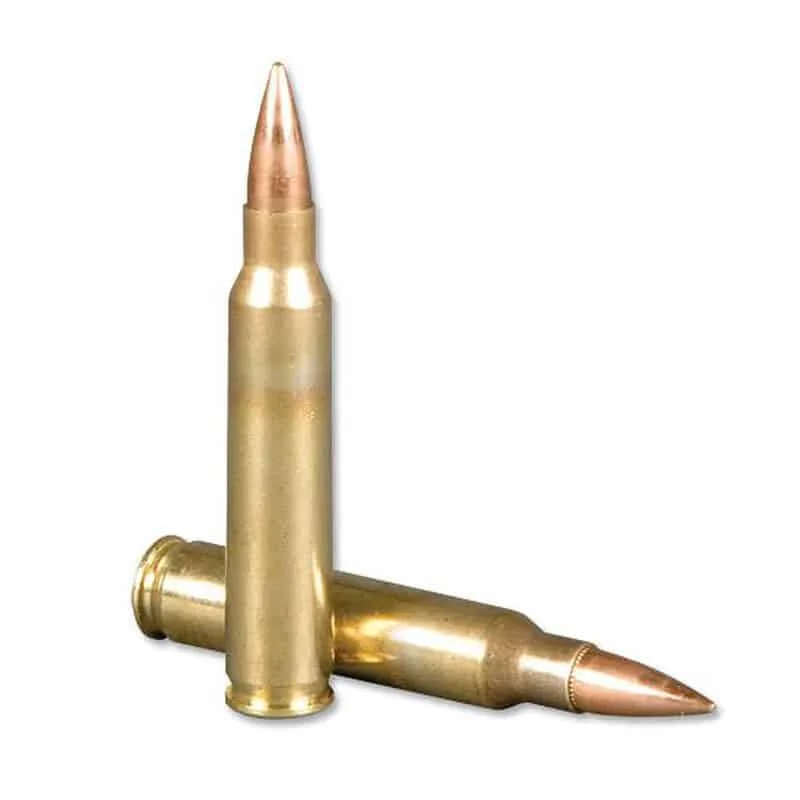 5.56 ammo