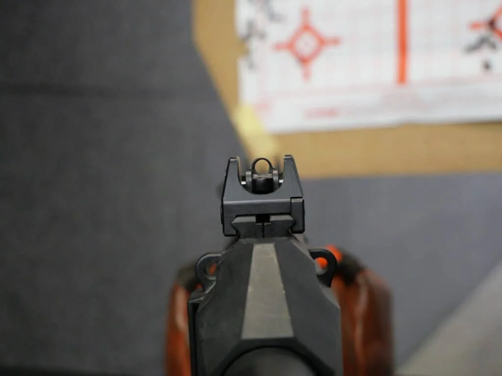 CZ Scorpion EVO 3 S1 Review sights