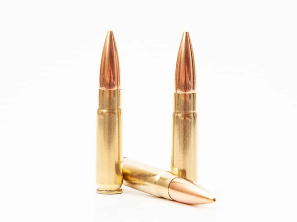 300 blackout cartridge