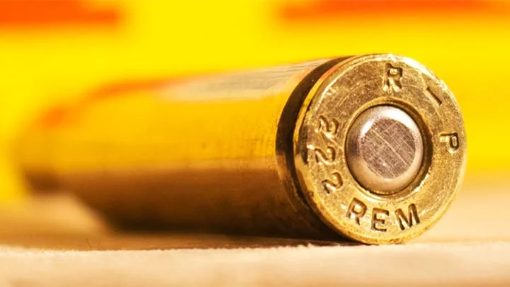 223 cartridge