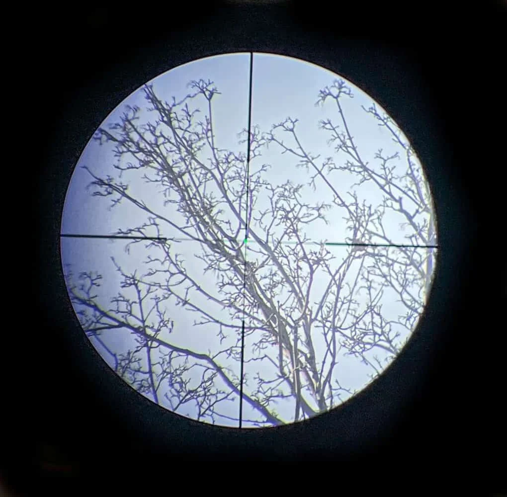 EOTech Vudu 1-8x24 Review scoped in