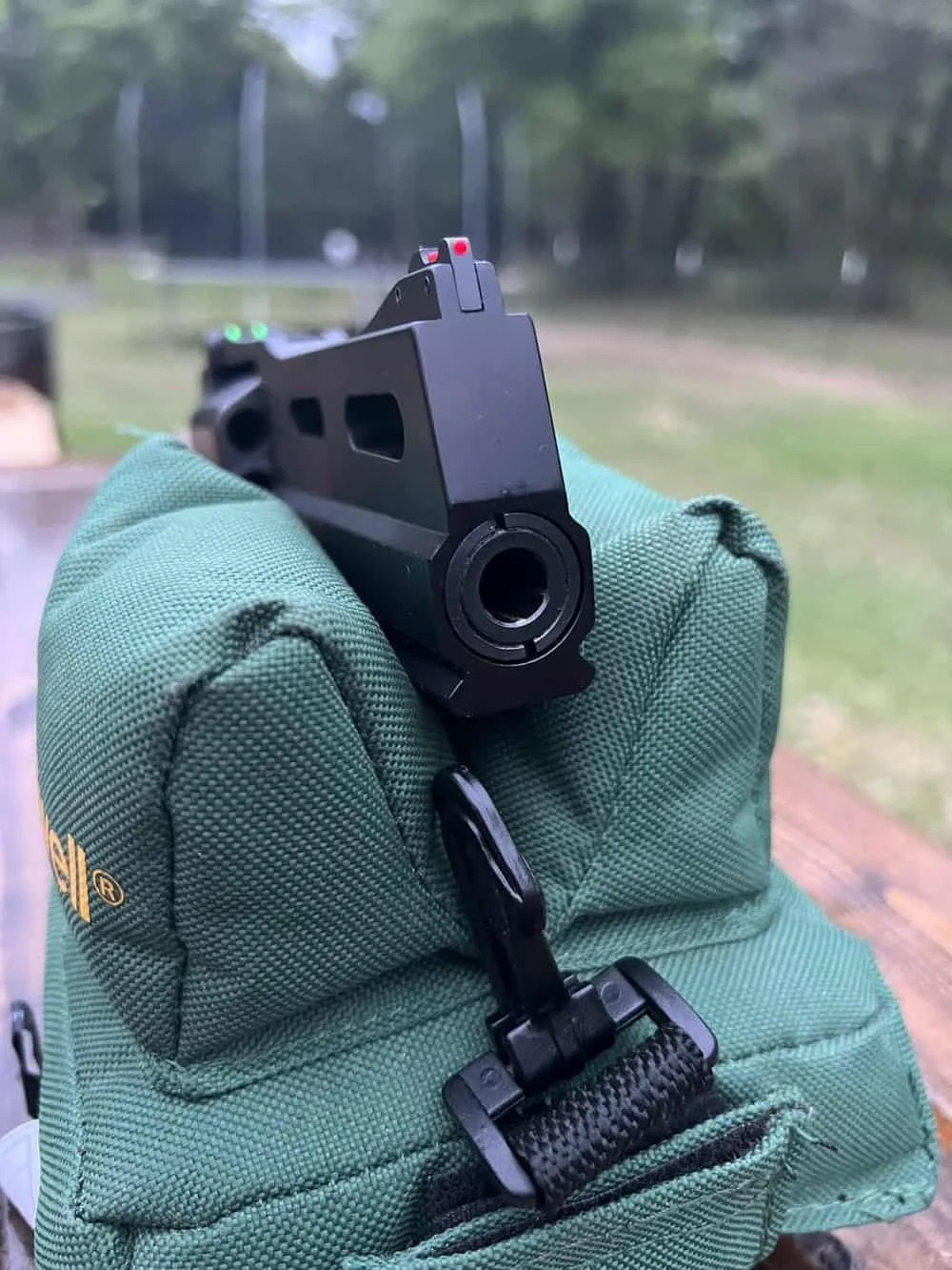 chiappa 40ds barrel and front sight view