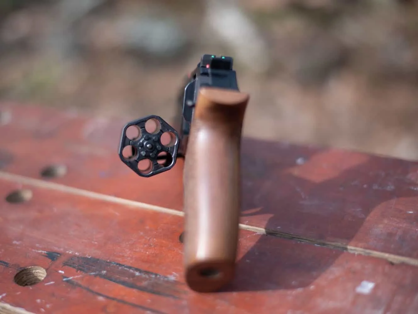 chiappa 40ds behind view