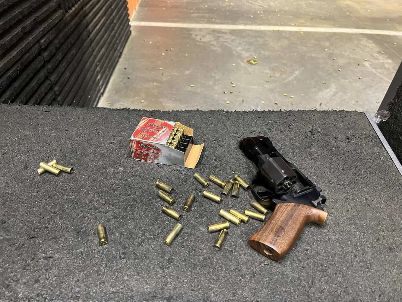 chiappa 40ds range test with ammo