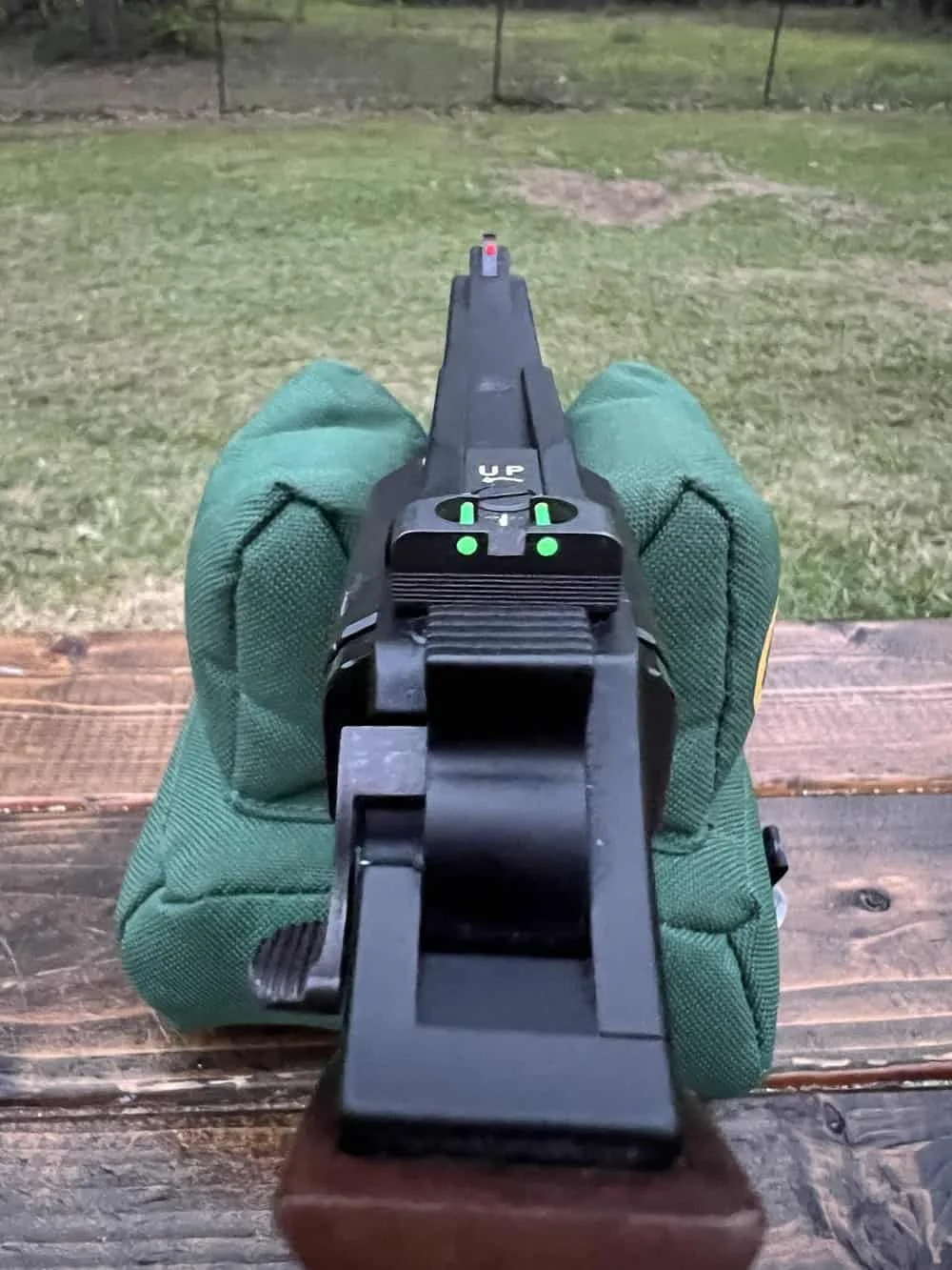 chiappa 40ds rear and front sights