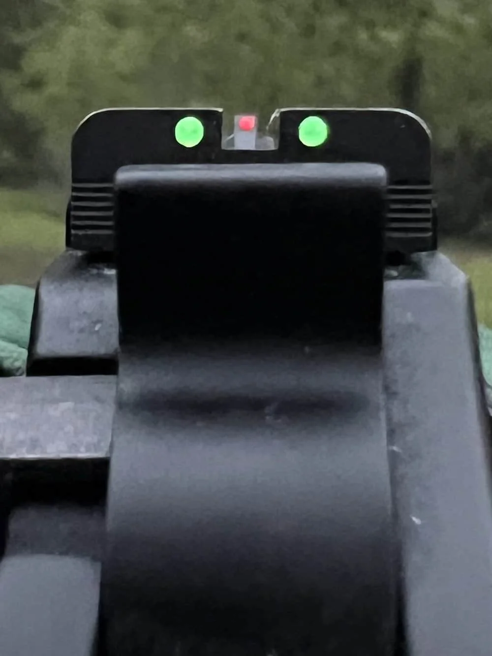 chiappa 40ds rear and front sights