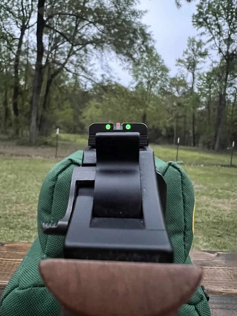 chiappa 40ds rear and front sights