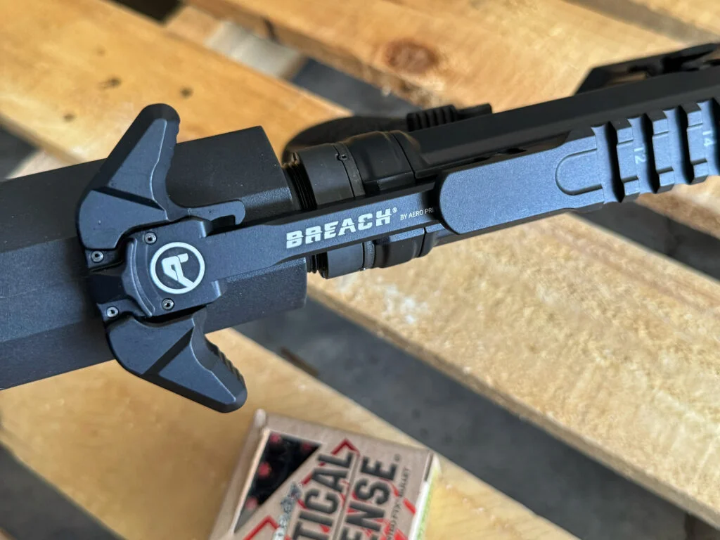 Photo Aug 15 2024, 11 42 30 AM