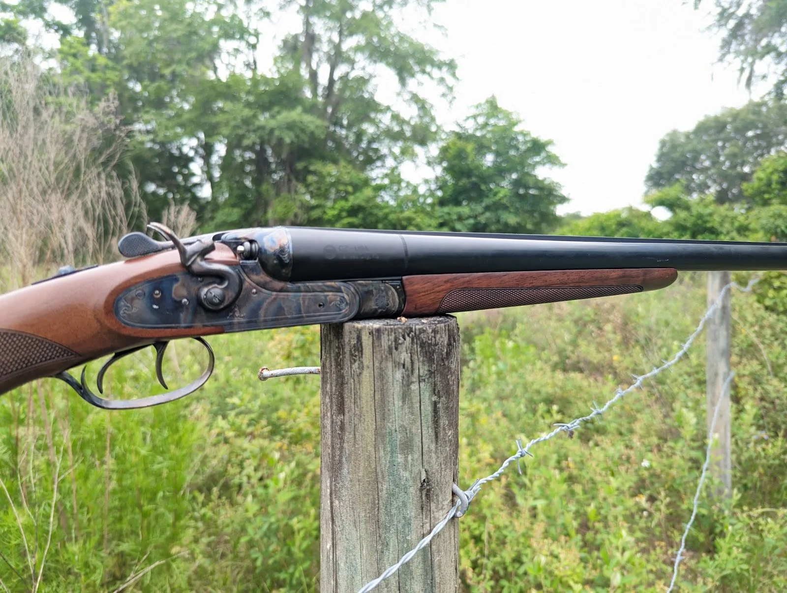 Cz hammer classic close up