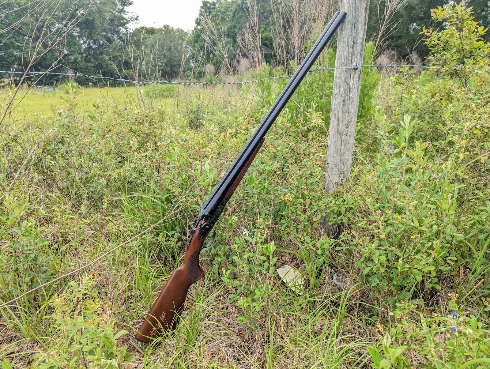 Cz hammer classic leaned up against wood pole