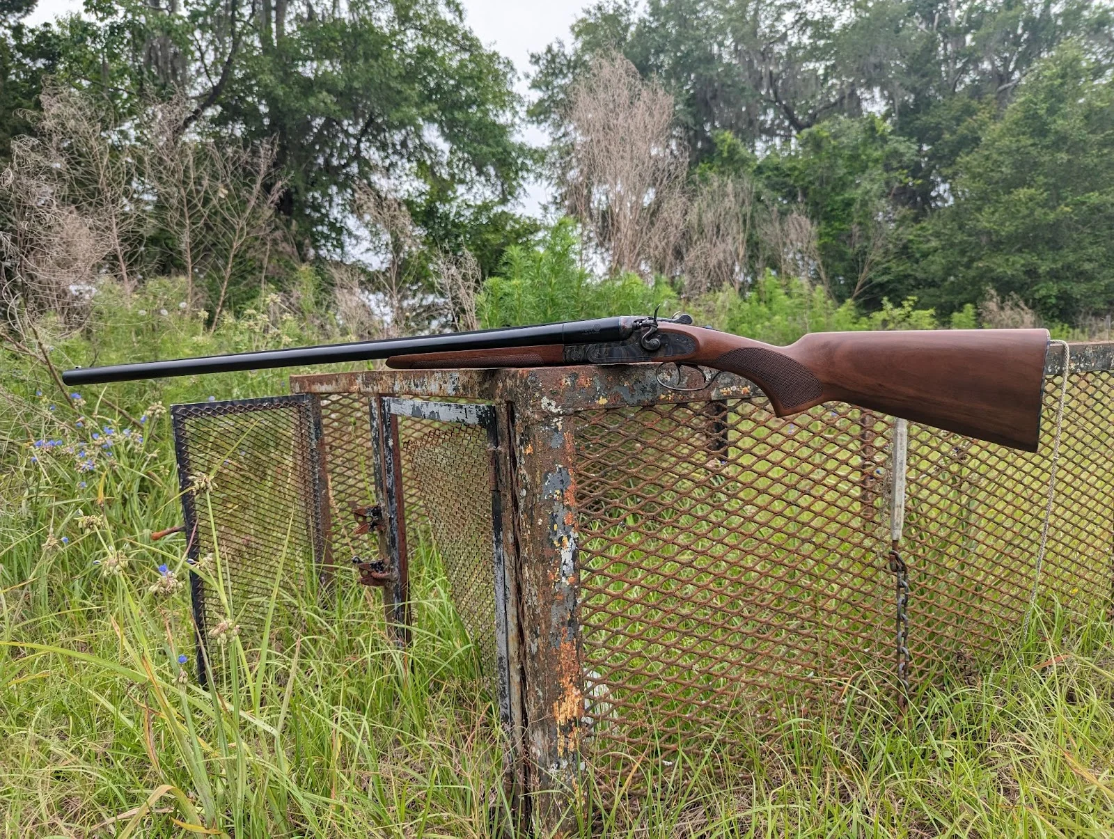 Cz hammer classic on rusty trailer