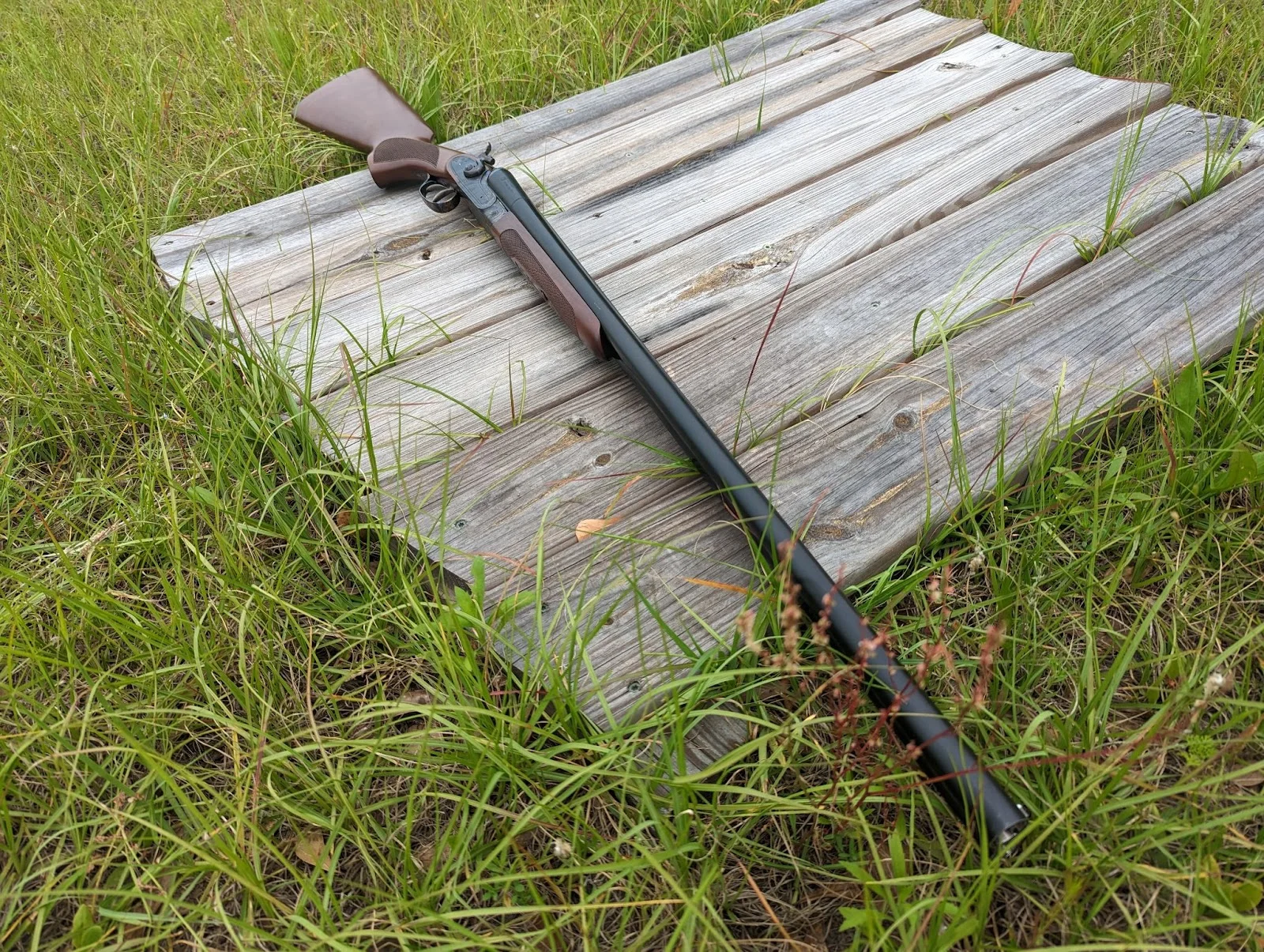 Cz hammer classic on wood board