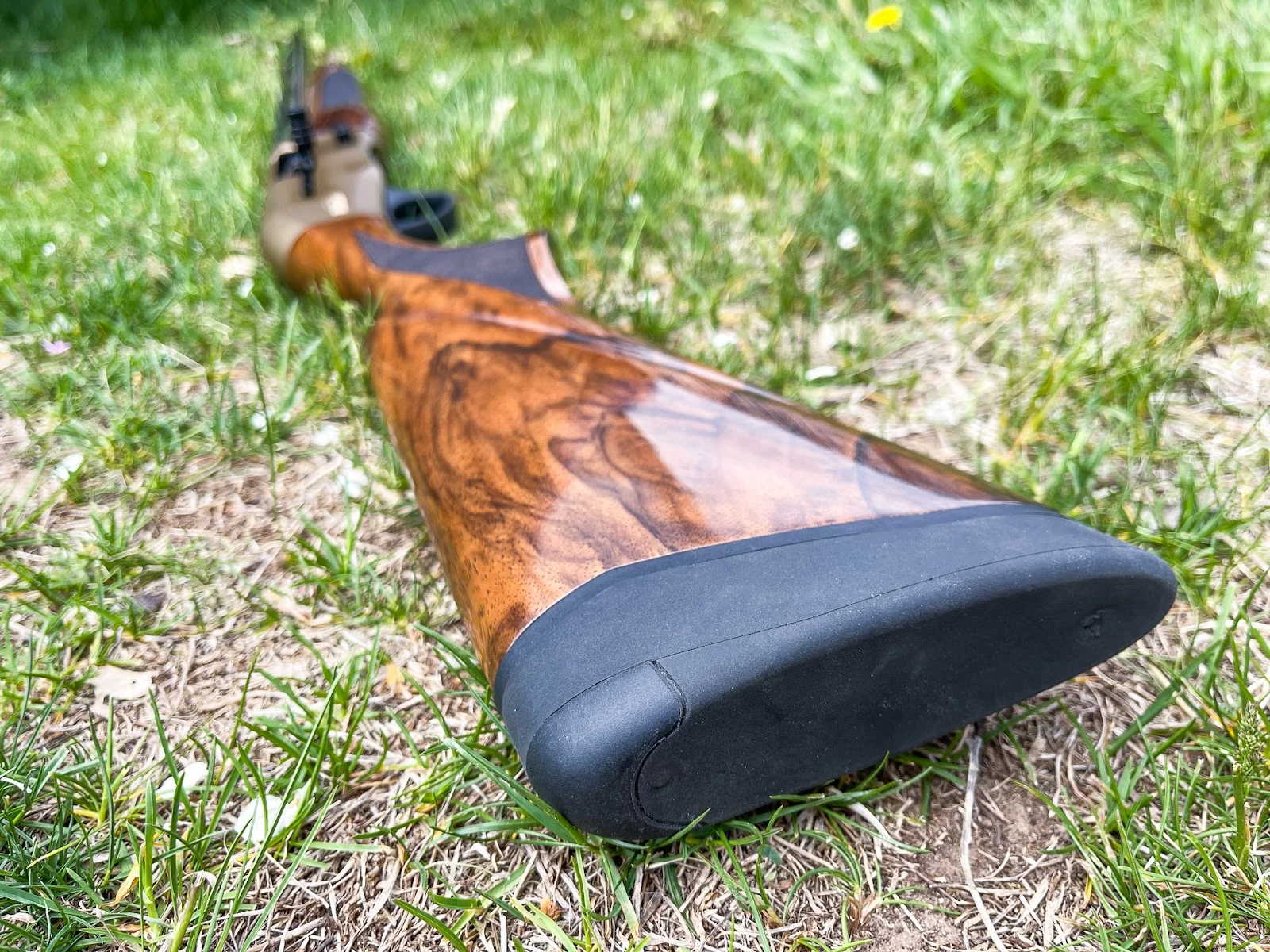 tristar viper g2 pro bronze walnut stock