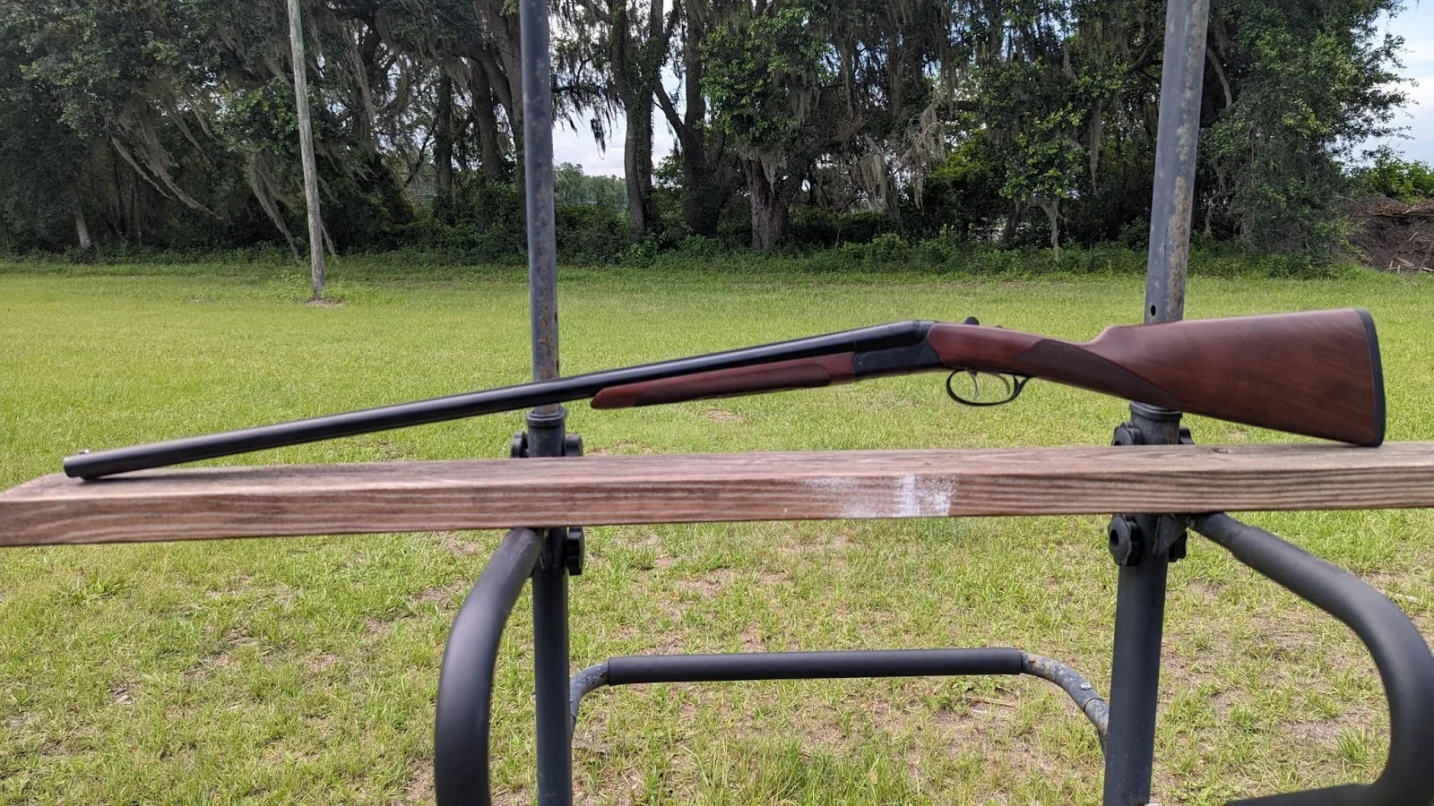 Cz bobwhite profile photo