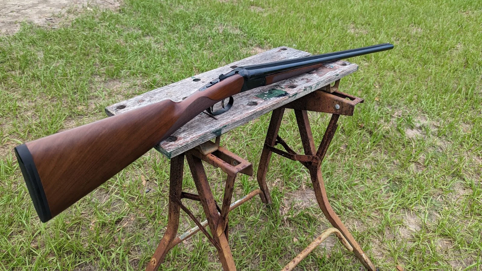 Cz bobwhite g2 on table