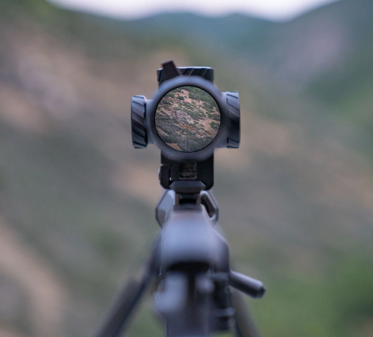 Riton 5 Primal 2-12x44 reticle