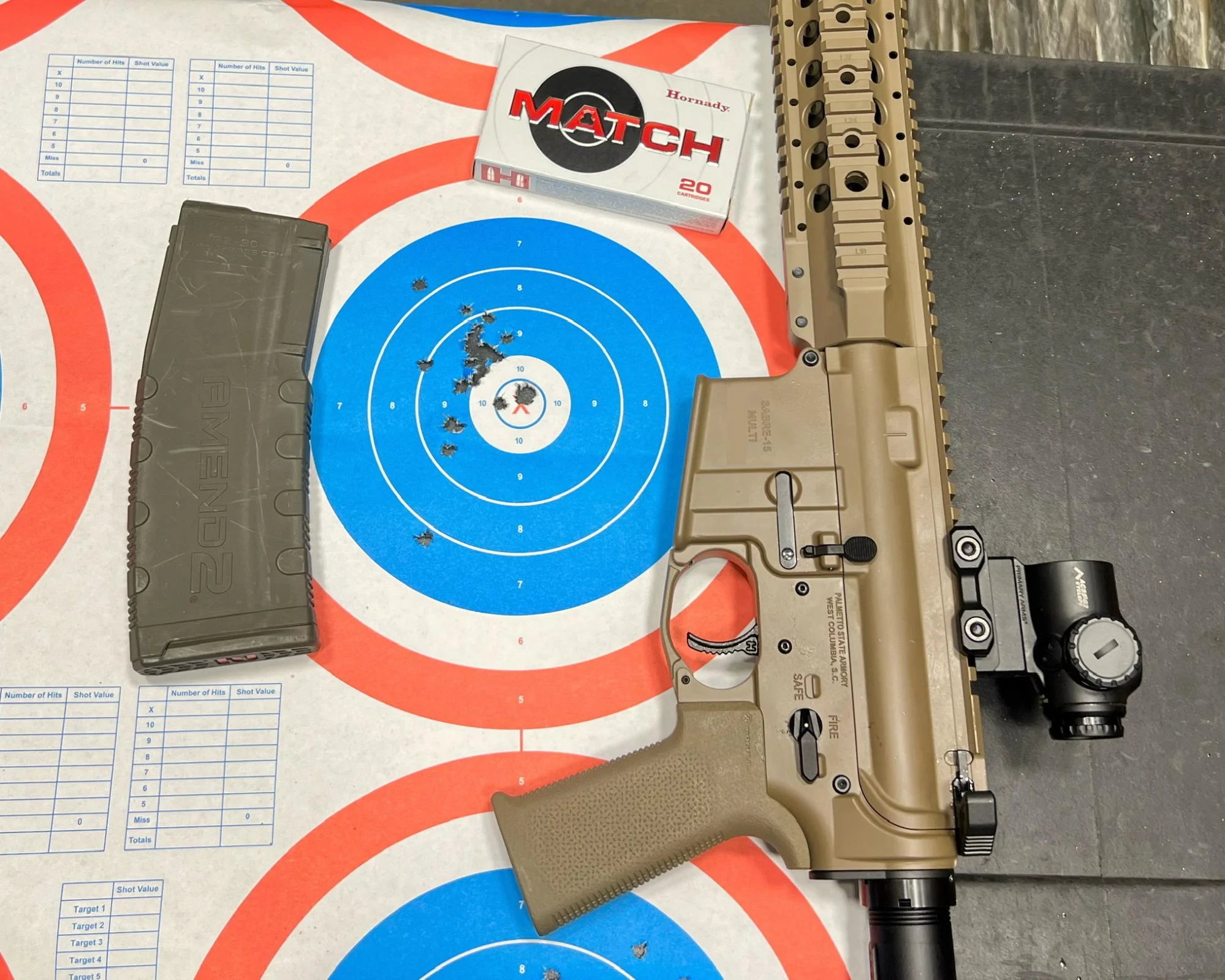 palmetto state armory sabre review with groupings