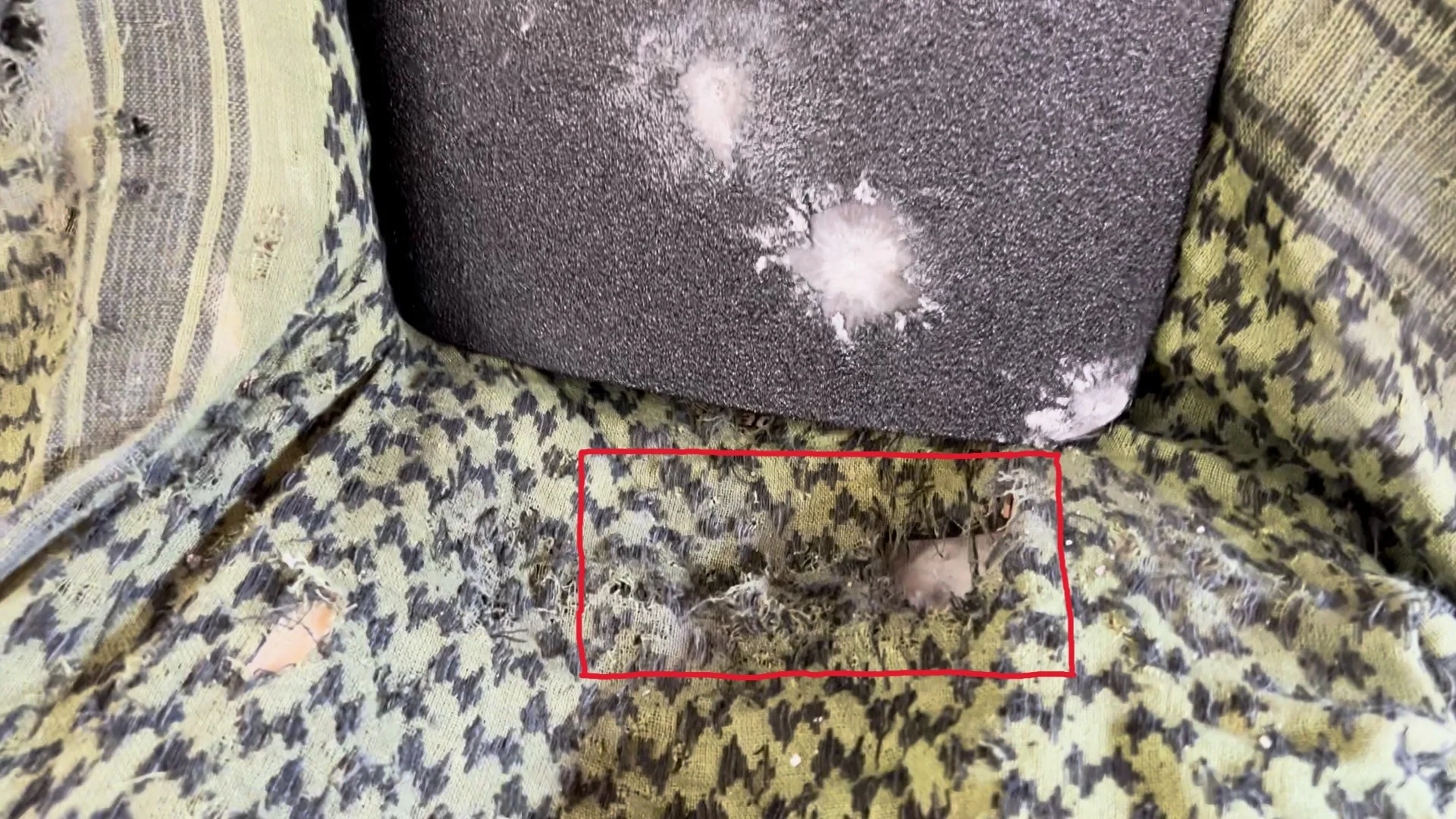 rts tactical level iii+ plate Damage to the fabric covering the stand following the M855 shot