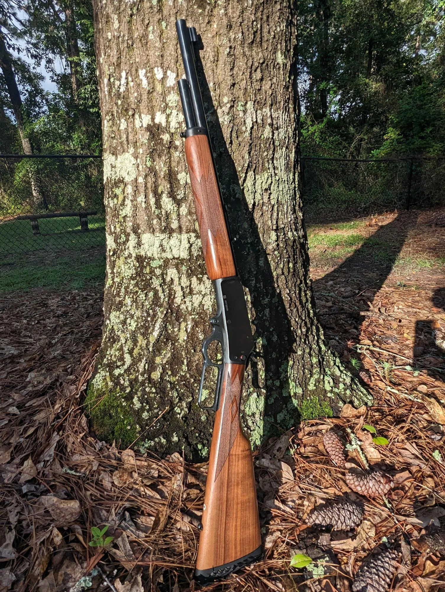 marlin 1895 leaning against tree
