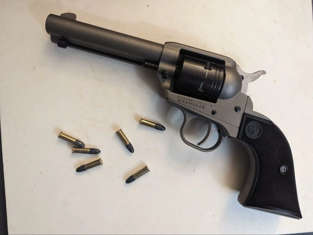 ruger 22 review with 22 lr ammo
