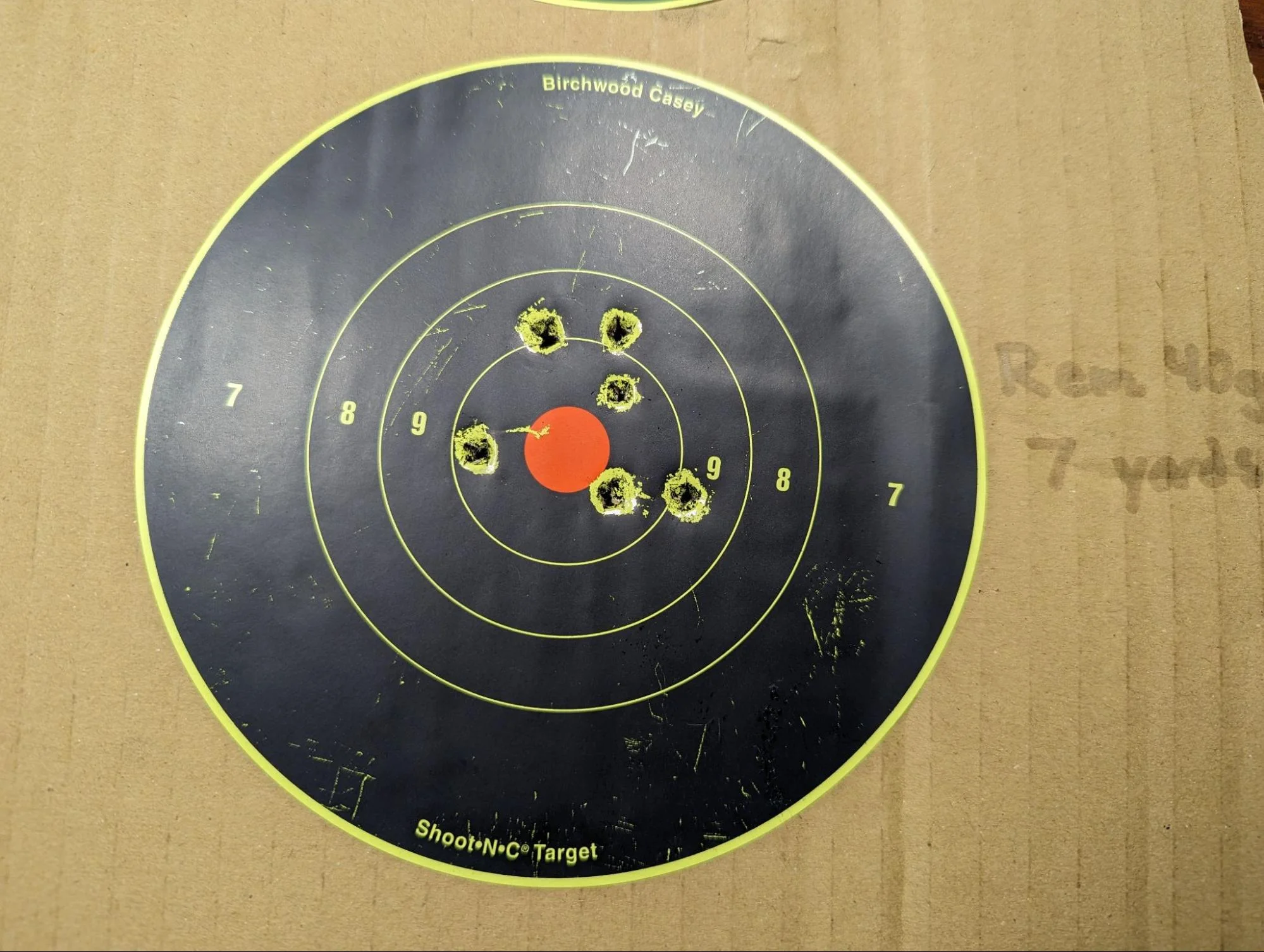 ruger wrangler range test groupings