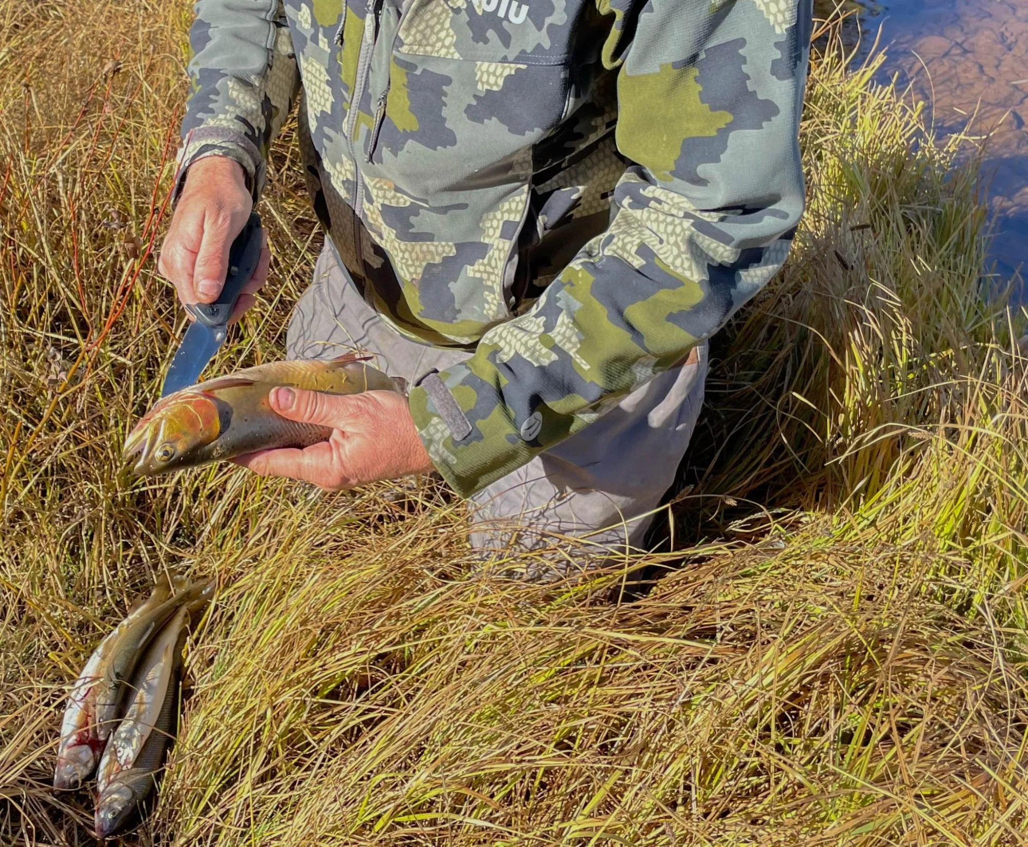 S35VN EDC Folding Pocket Knife test fishing